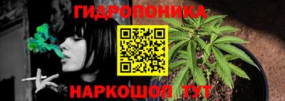 твердый Партизанск