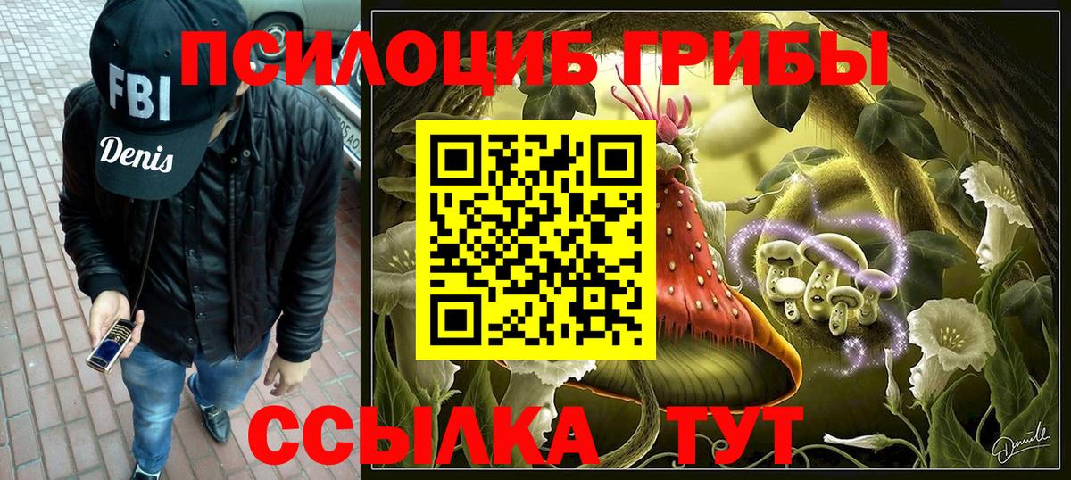 Галлюциногенные грибы Cubensis Углич