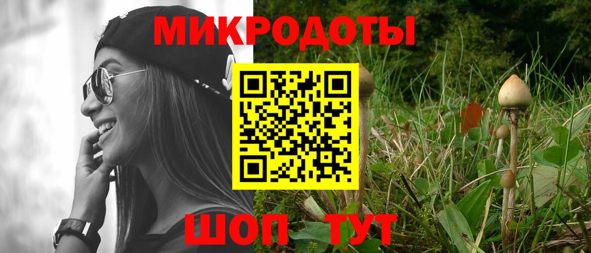 Псилоцибиновые грибы MAGIC MUSHROOMS  Вход с VPN  Углич 